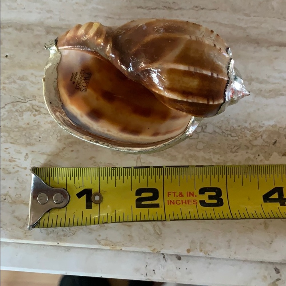 Silver deco shells - Picture 8 of 8